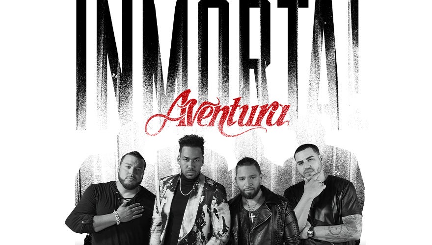 Aventura Inmortal Tour 2024 Ailee Arliene