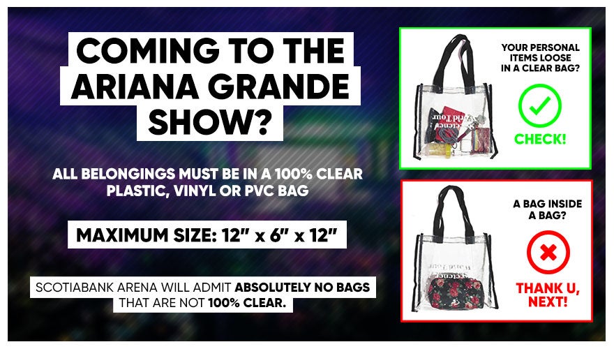 Ariana Grande Size Chart Merch